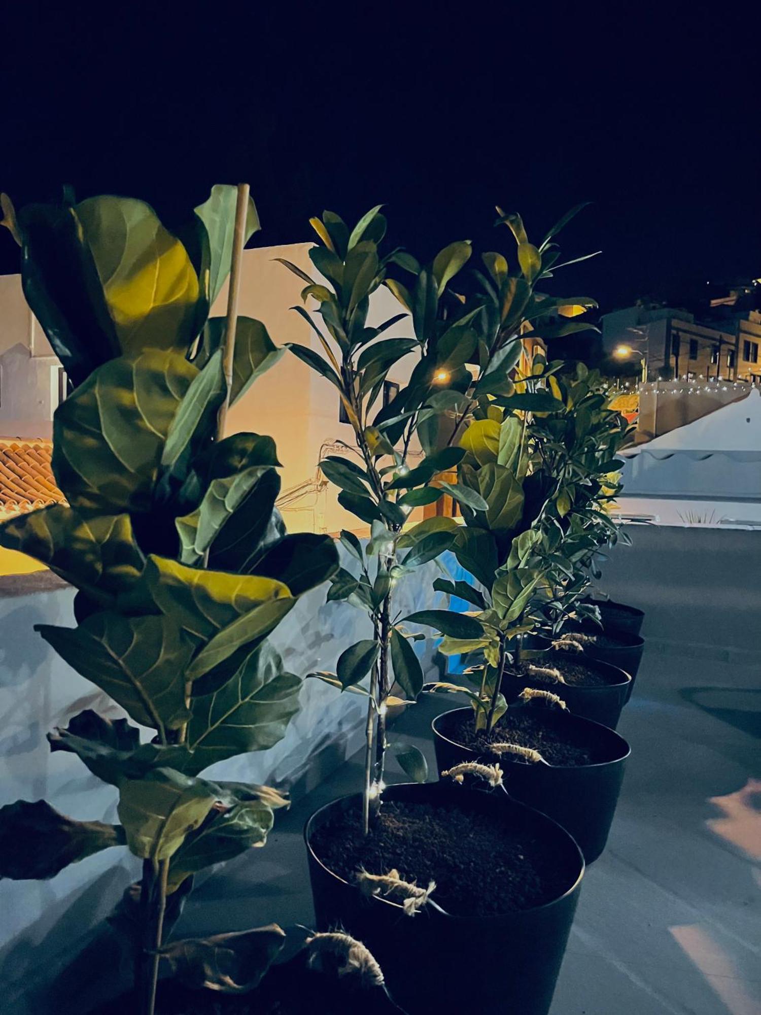 Plaza De La Fuente Granadilla De Abona Tenerife Sur Only Adults Con Terraza Privada Екстер'єр фото